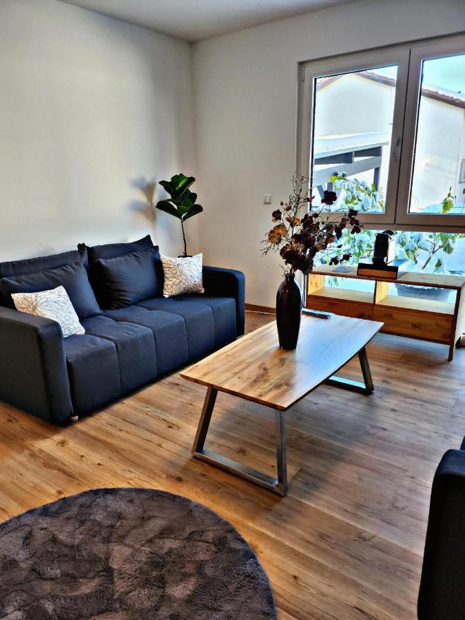 Lions Place Premium Apartments Comfort Optionaler Zugang Zum Spa- Bereich Heidenheim an der Brenz Exterior foto