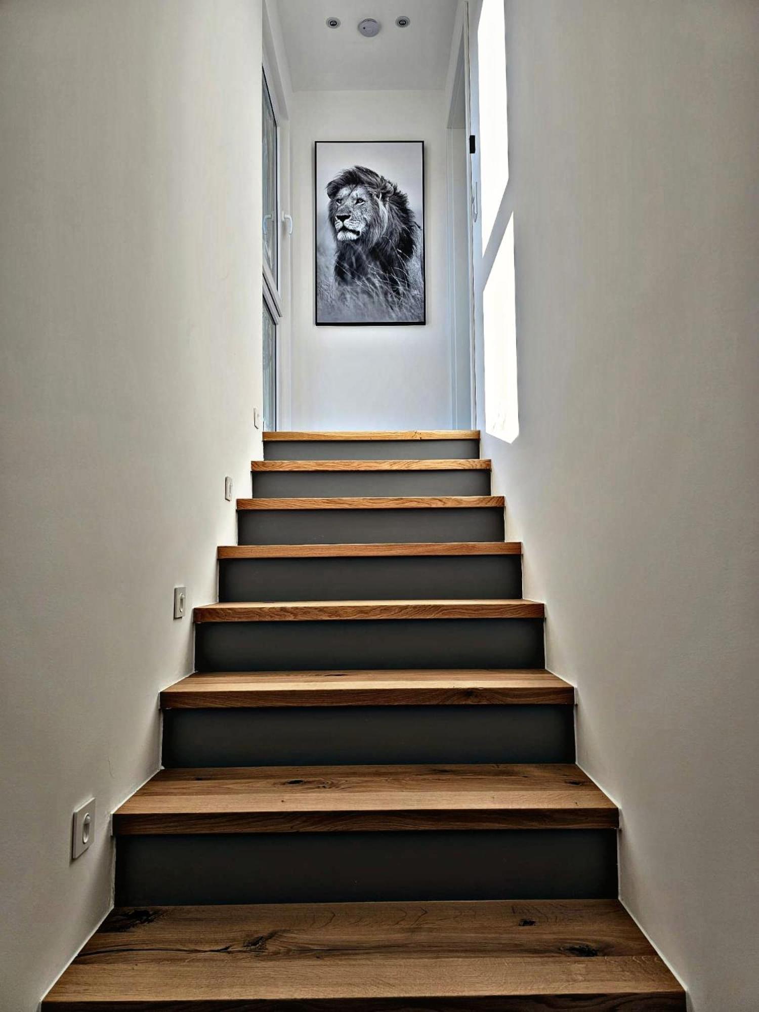 Lions Place Premium Apartments Comfort Optionaler Zugang Zum Spa- Bereich Heidenheim an der Brenz Exterior foto