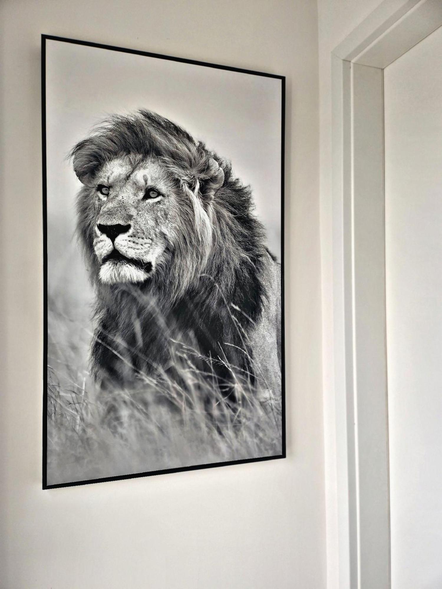 Lions Place Premium Apartments Comfort Optionaler Zugang Zum Spa- Bereich Heidenheim an der Brenz Exterior foto